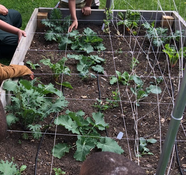 Fractions and Fairness