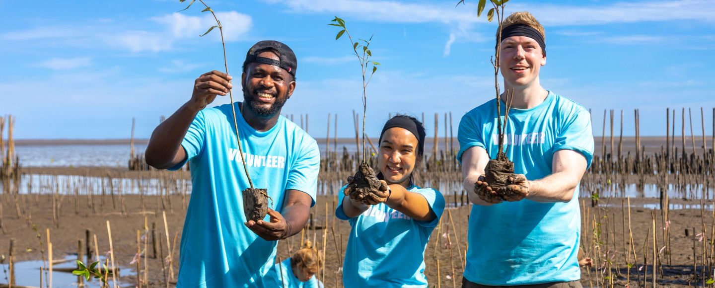 What Is Ecosystem-Based Adaptation?