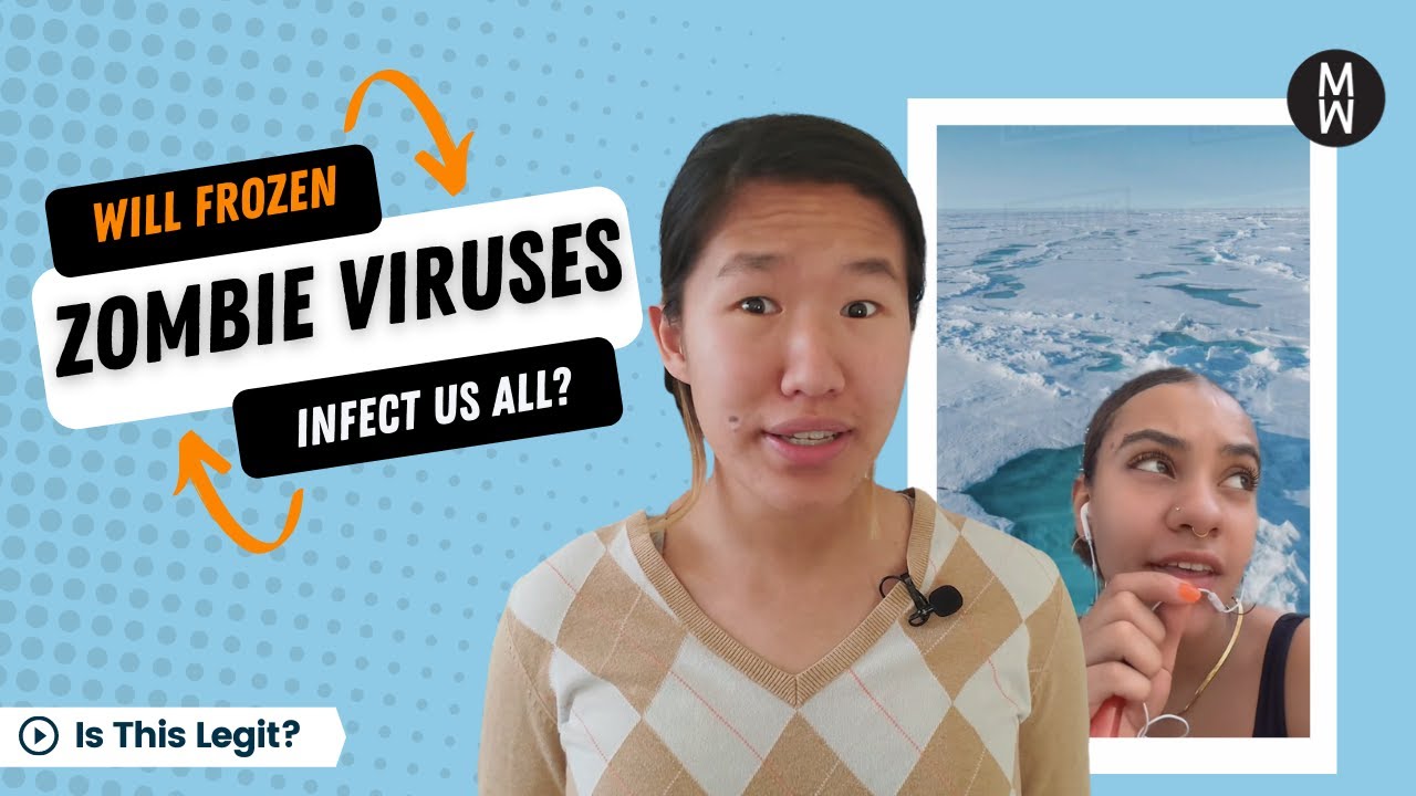 Lesson plan: Zombie facts — How to bury misinformation that keeps coming back to life