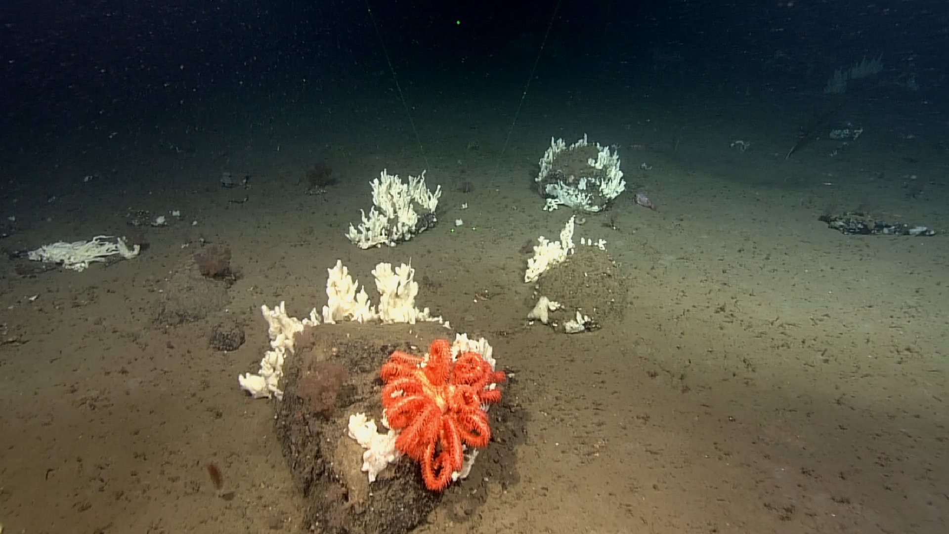 Reflect on the question and get creative! Critical thinking and reflection activity 