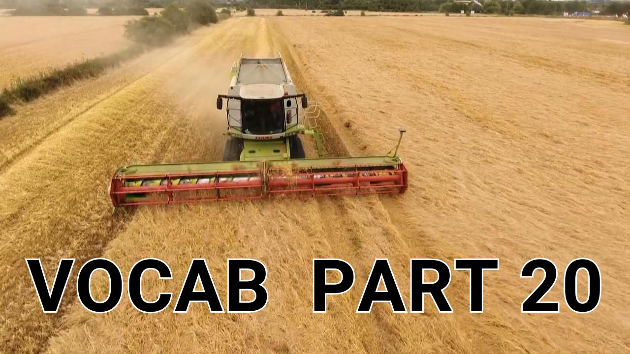 Vocabulary Builder Part 20 Video sheet, Google Forms, Canvas & more V2