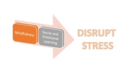 DisruptSTRESS: A Journey to Mindfulness 